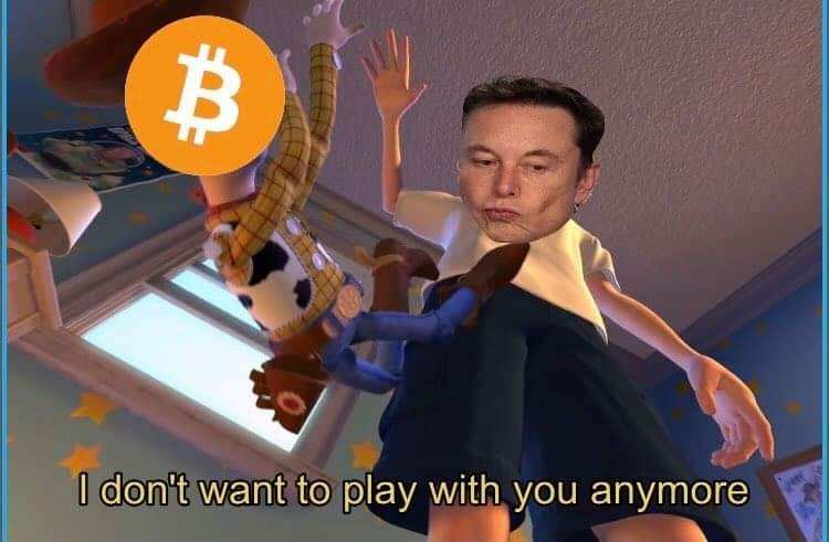 Elon and BTC meme